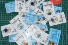 img-idcard1