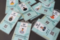 img-idcard6